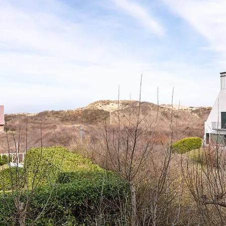 Casiola - Superb In The Dunes Of Oostduinkerke